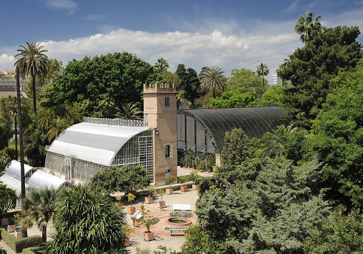 El Jardí Botànic de la Universitat de València albergará la consulta ciudadana del proyecto CONCISE en España. Foto: Jardí Botànic.